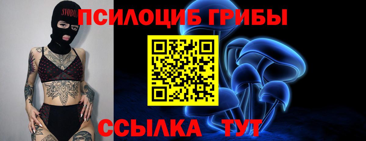 Учалы  Псилоцибиновые грибы Psilocybe  Псилоцибиновые грибы мицелий  Вход с VPN 